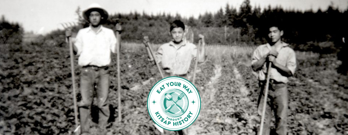 Eat Your Way Through Kitsap History: Bainbridge's Historic Suyematsu Farm